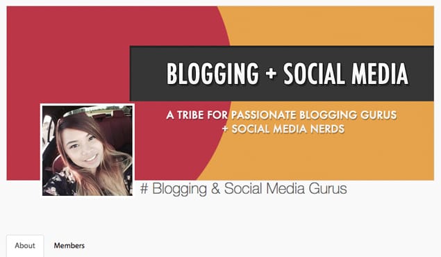 Triberr dashboard showing blogger tribe connections