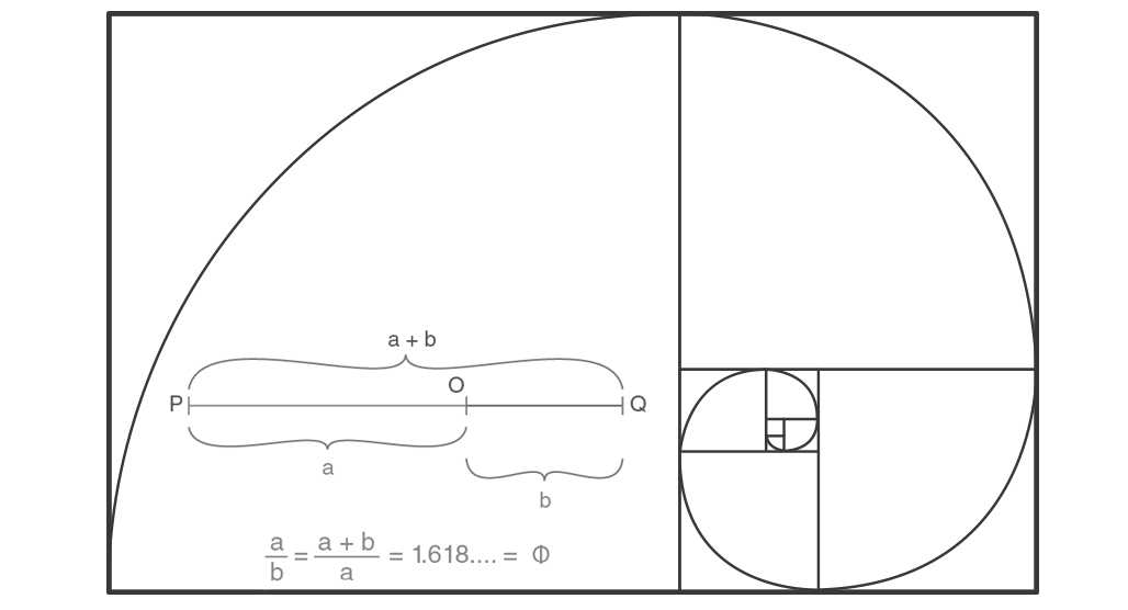 Golden ratio spiral mathematical diagram illustration