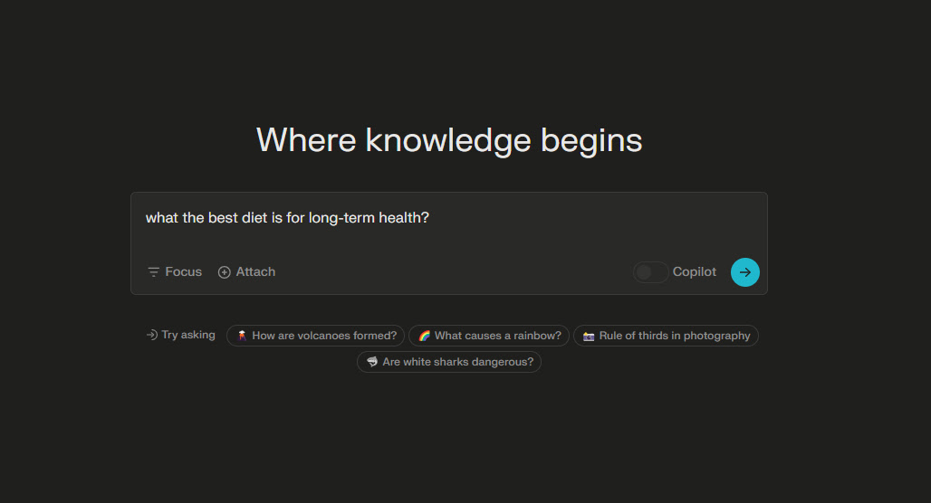 Perplexity AI interface showing limitations or errors