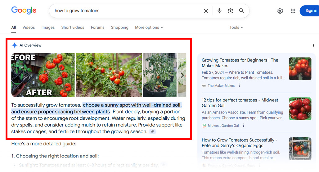 Google search results page with SERP features