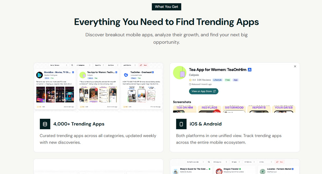 Person analyzing rising trends SEO data